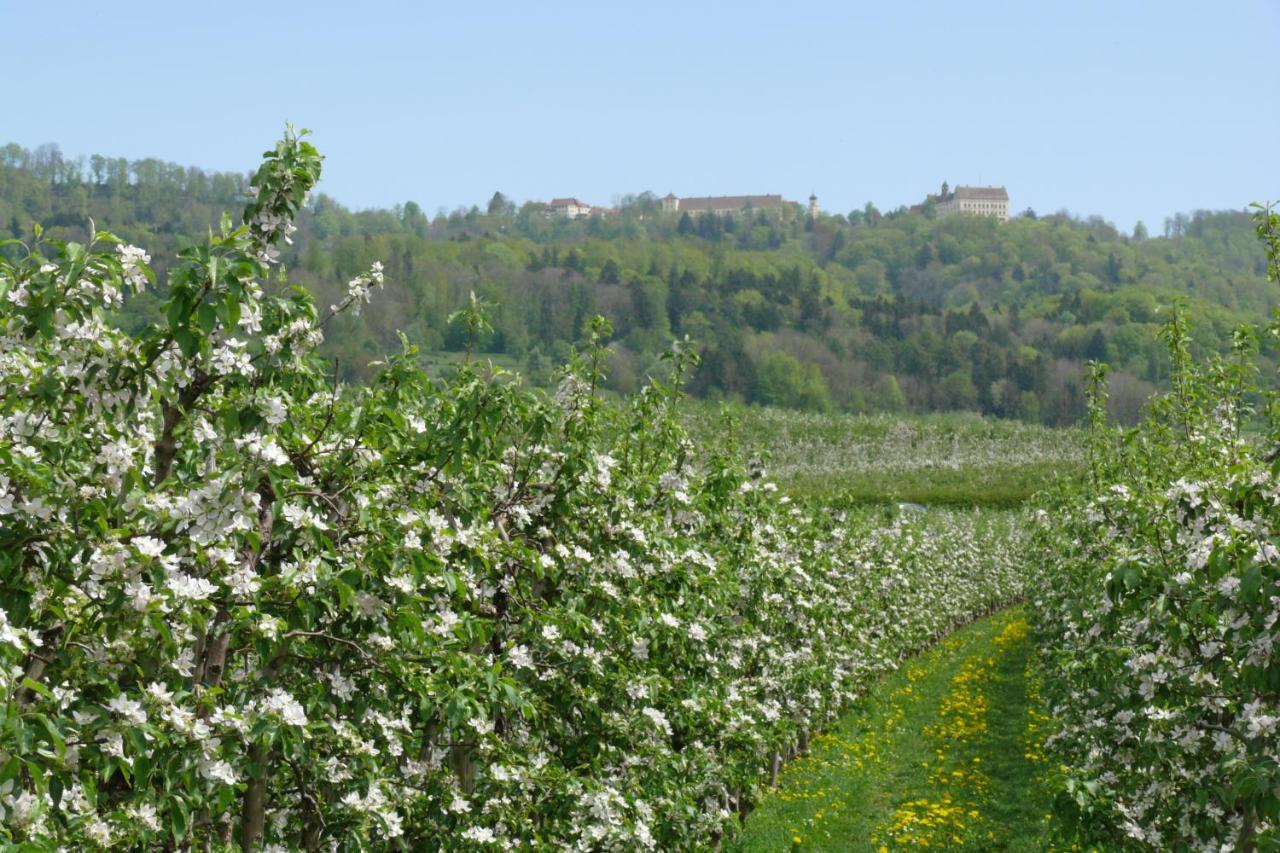 Landgasthof Paradies Frickingen Εξωτερικό φωτογραφία